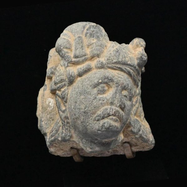 A Gandhara Schist Head of a Devotee, ca 1st century BCE CE Online Hot Sale